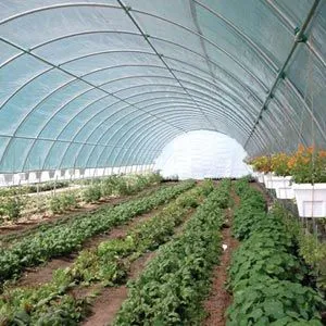 FarmTek GrowSpan Extra Tall Tunnel Greenhouse | 14' Width |  High Tunnel , Multiple Lengths